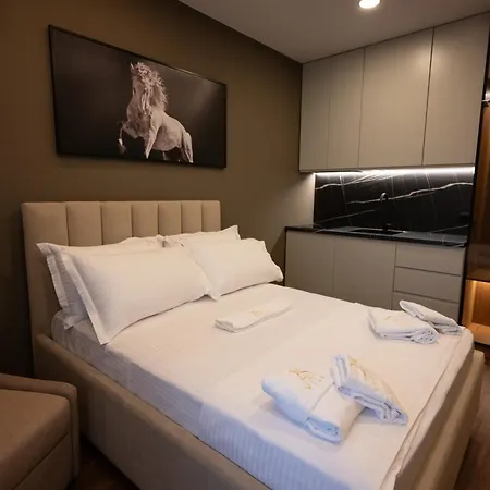 2S Vila Boutique Pogradec Апарт-отель 4*