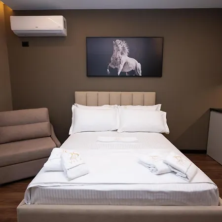 2S Vila Boutique Pogradec Апарт-отель Поградец