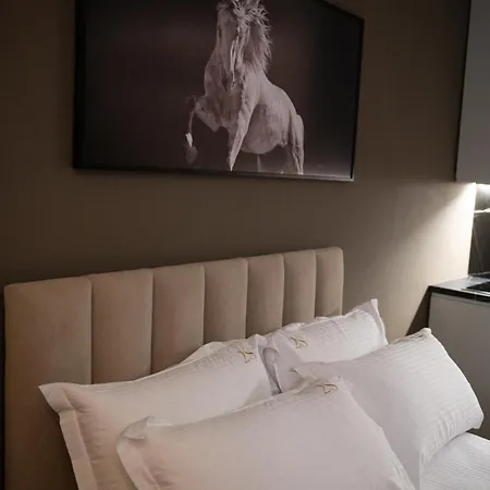 2S Vila Boutique Pogradec Апарт-отель Поградец